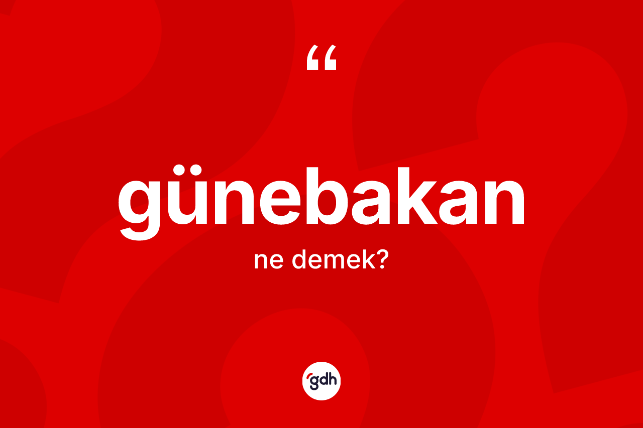 Günebakan kelimesinin sözlükteki tanımı nedir? Günebakan kelimesinin kaç farklı anlamı var?