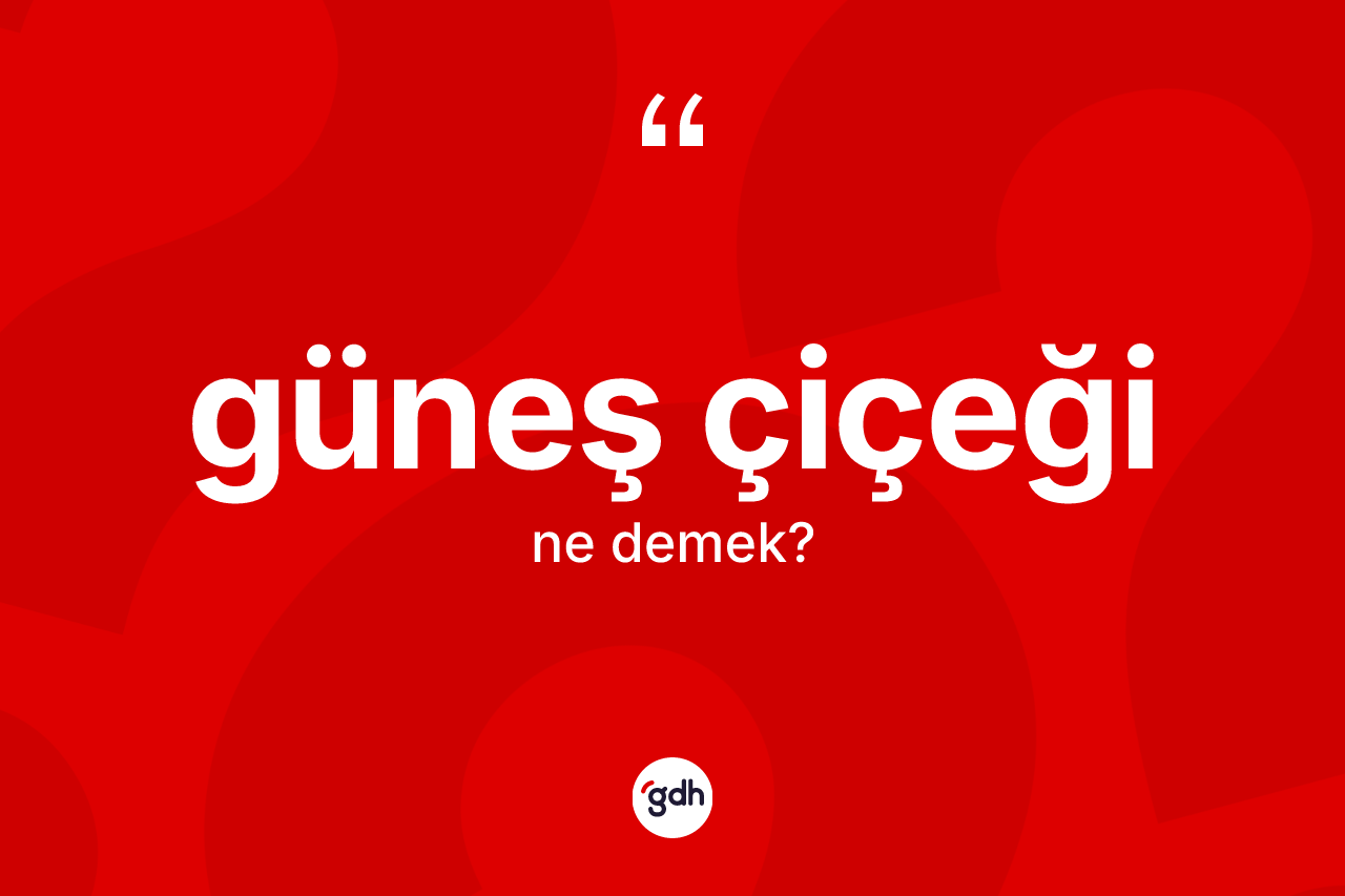 Güneş çiçeği ne anlama gelir? Güneş çiçeği kelimesinin TDK'ya göre açıklaması nedir?