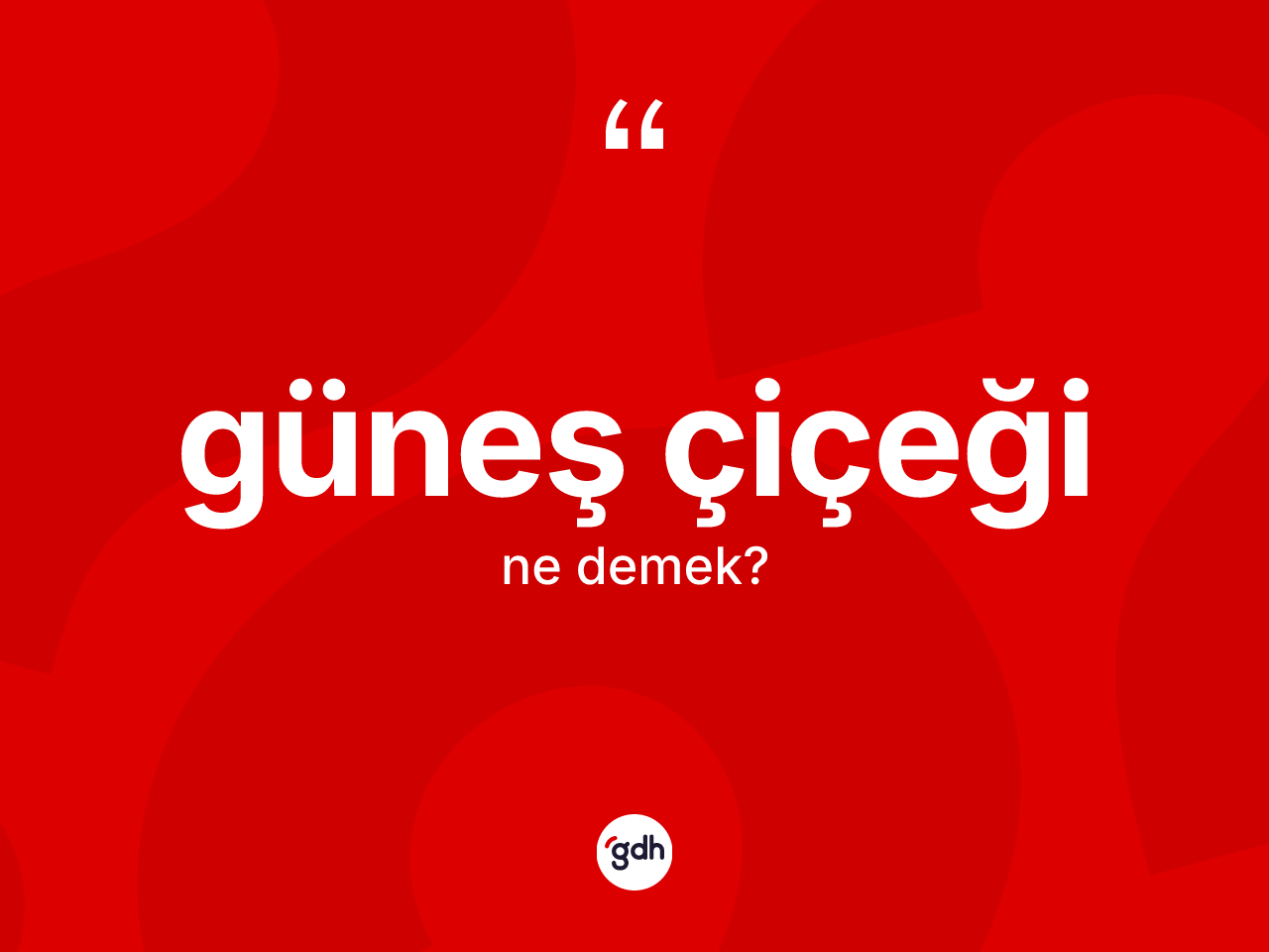 Güneş çiçeği ne anlama gelir? Güneş çiçeği kelimesinin TDK'ya göre açıklaması nedir?