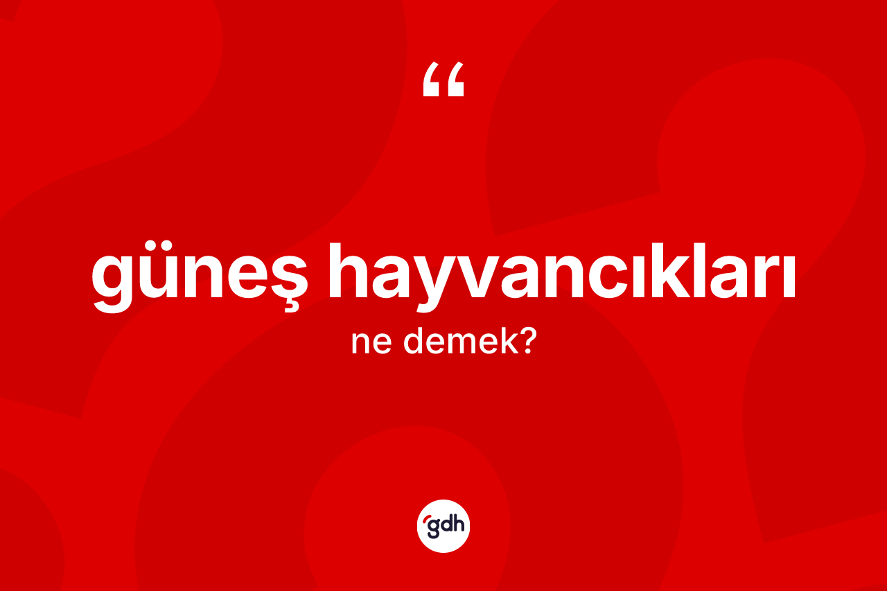 Güneş hayvancıkları nedir? Güneş hayvancıklarının kısaca tanımı nedir?