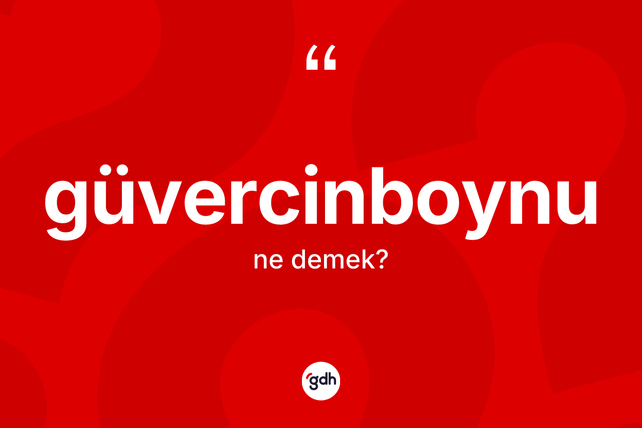 Güvercinboynu kelimesinin anlamı nedir? Güvercinboynunun TDK'ya göre anlamı nedir?
