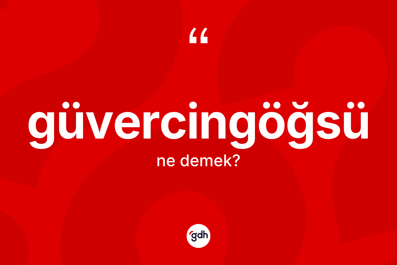 Güvercingöğsü kelimesi nedir?