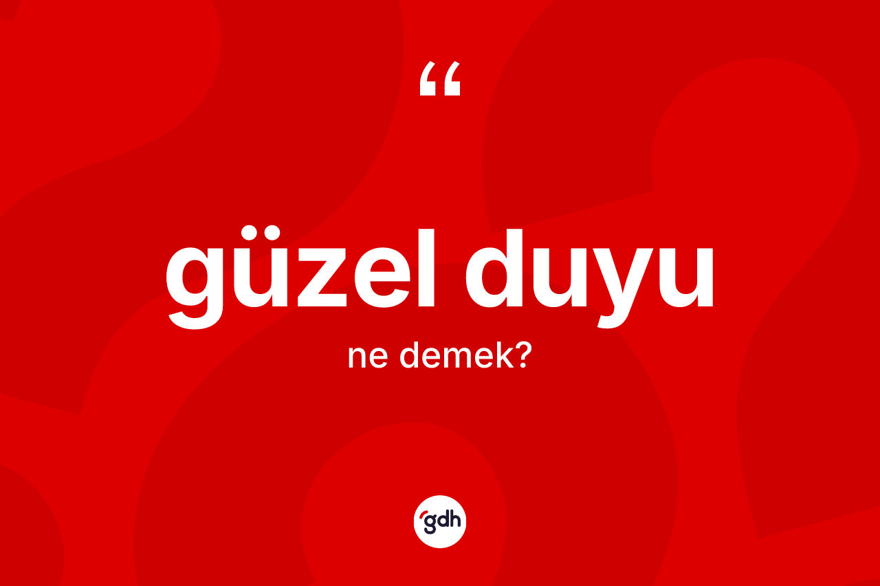 Güzel duyu kelimesi nedir? Güzel duyu kelimesinin TDK anlamı nedir?