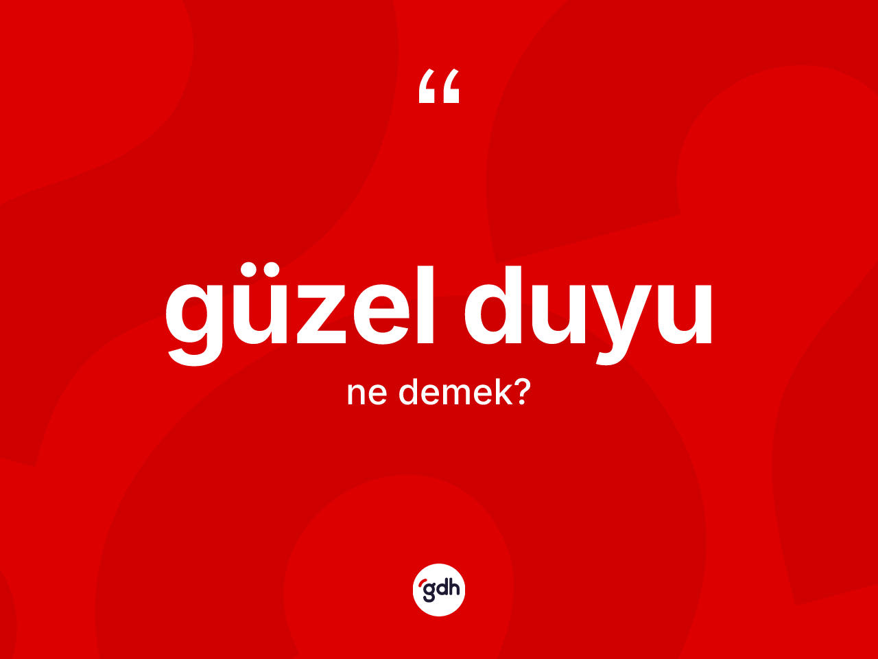 Güzel duyu kelimesi nedir? Güzel duyu kelimesinin TDK anlamı nedir?