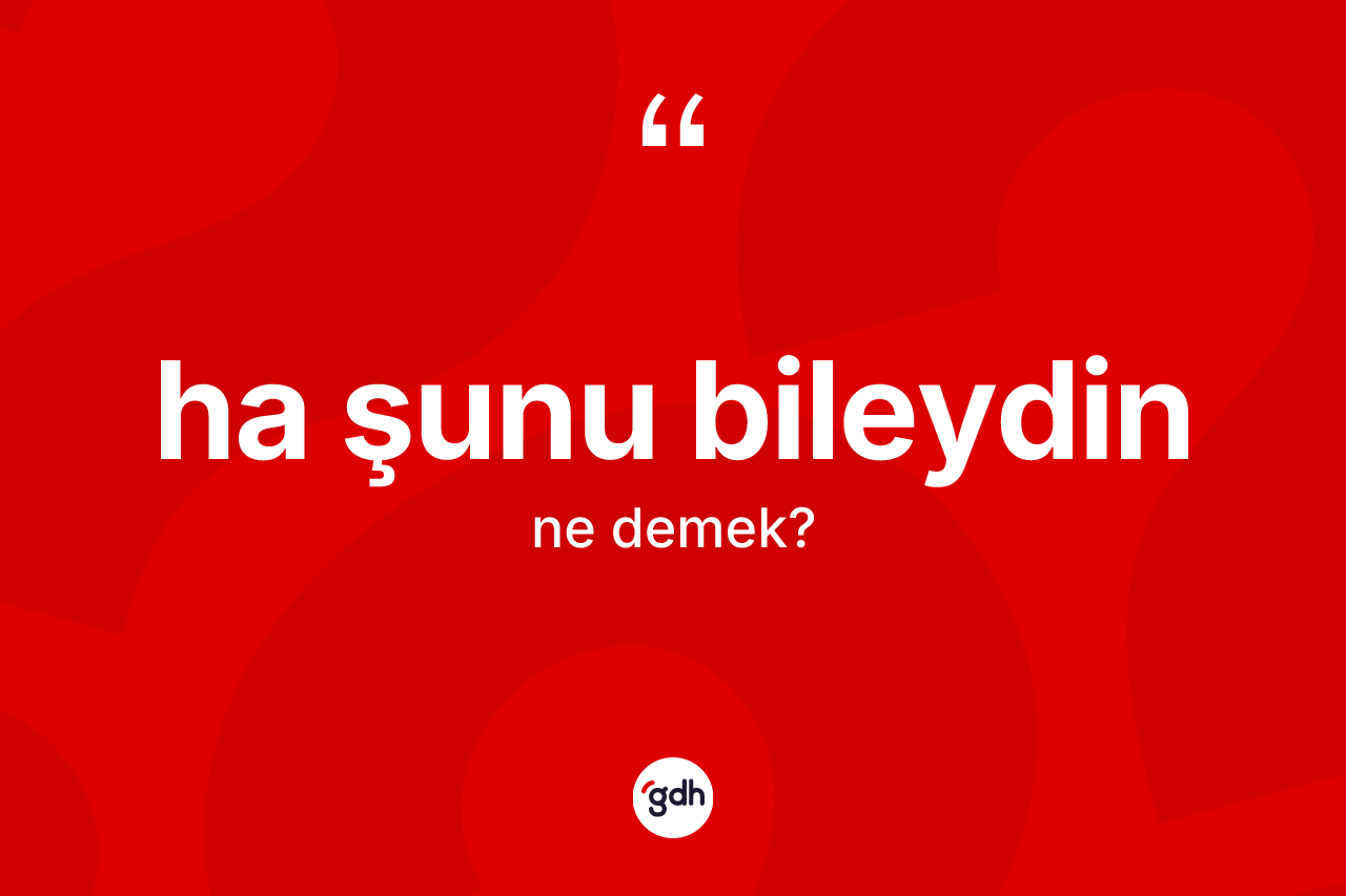 Ha şunu bileydin nedir? Ha şunu bileydin ifadesi hangi durumlarda kullanılır