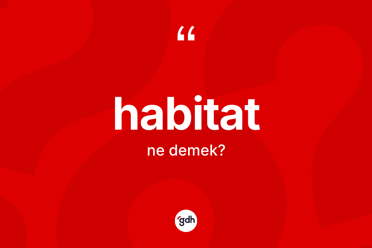 Habitat ne demek? Habitatın halk arasındaki kullanımı nasıldır?
