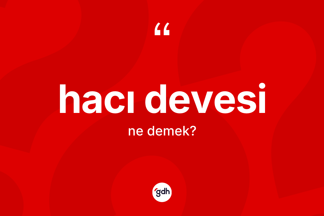 Hacı devesi ne anlama gelir? Hacı devesinin kısaca tanımı nedir?