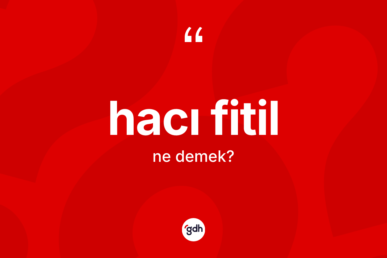Hacı fitil kelimesinin tanımı nedir? Hacı fitil kelimesinin kaç farklı anlamı var?