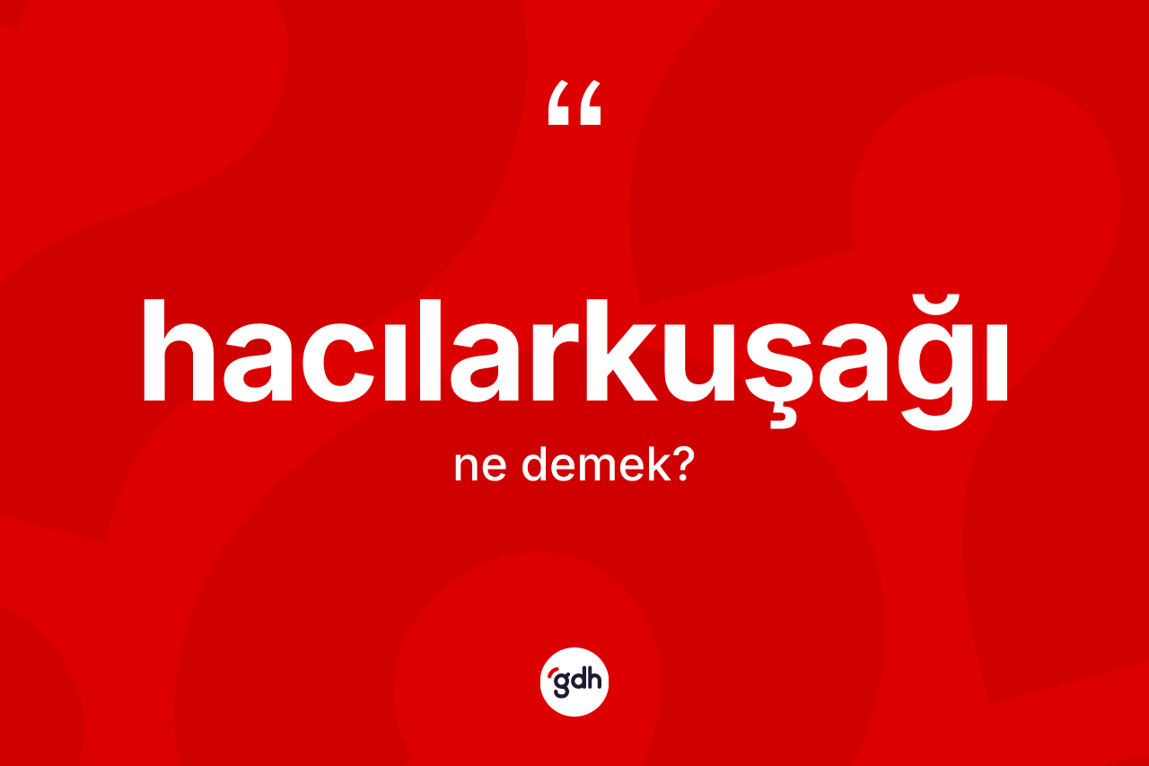 Hacılarkuşağı kelimesinin sözlükteki tanımı nedir? Hacılarkuşağı kelimesinin kaç farklı anlamı var?
