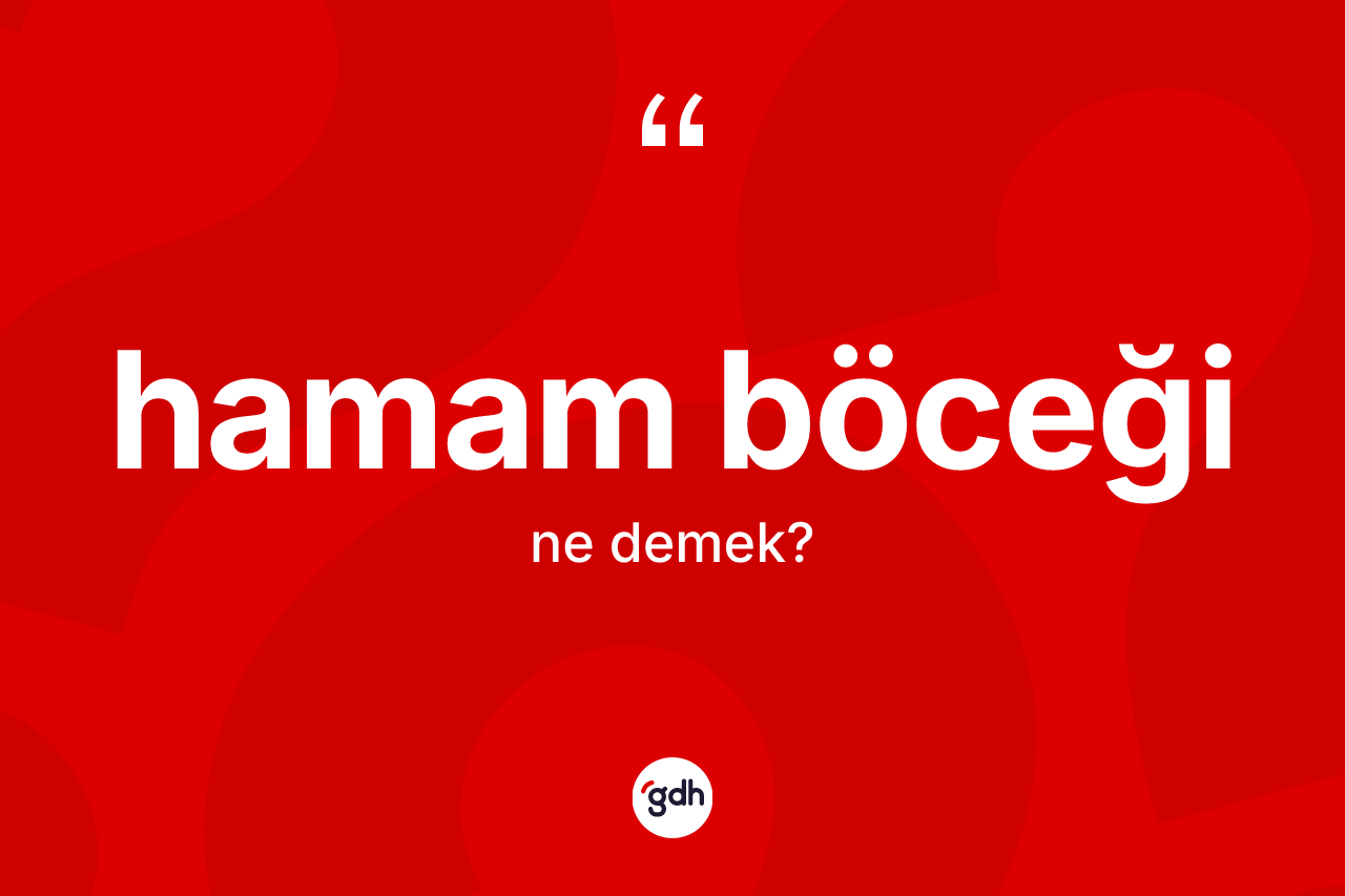 Hamam böceği ne demek? Hamam böceğinin sözlükteki anlamı nedir?