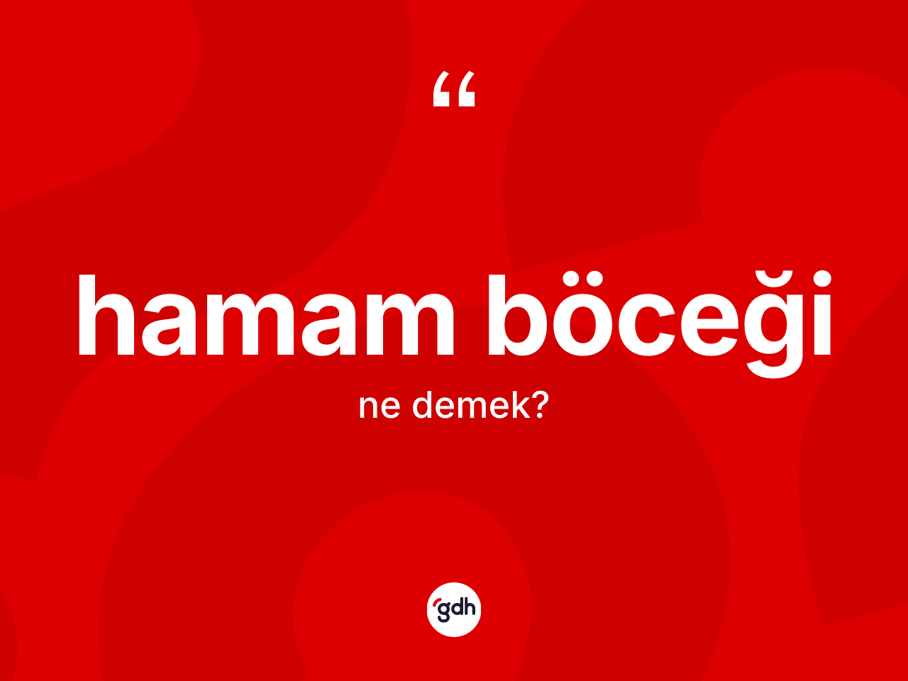 Hamam böceği ne demek? Hamam böceğinin sözlükteki anlamı nedir?