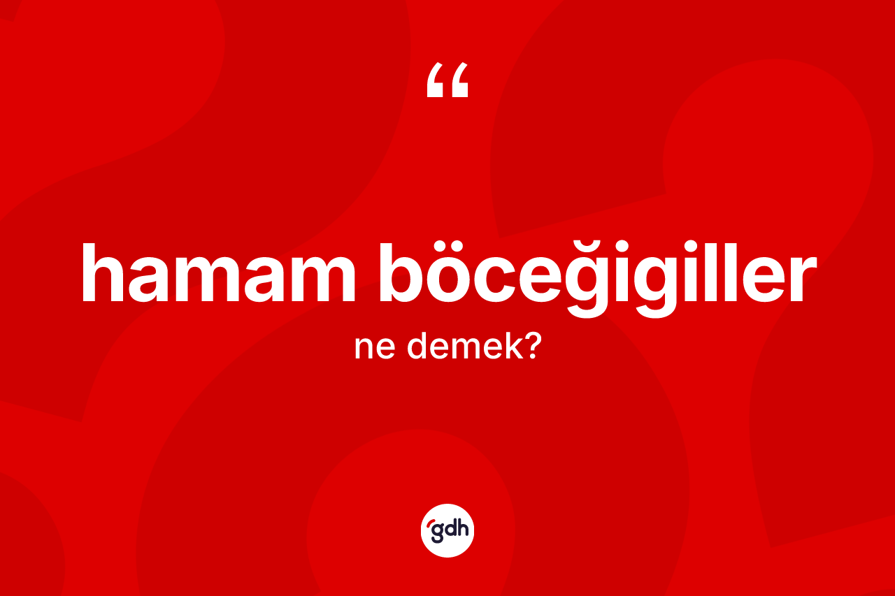 Hamam böceğigiller nedir?