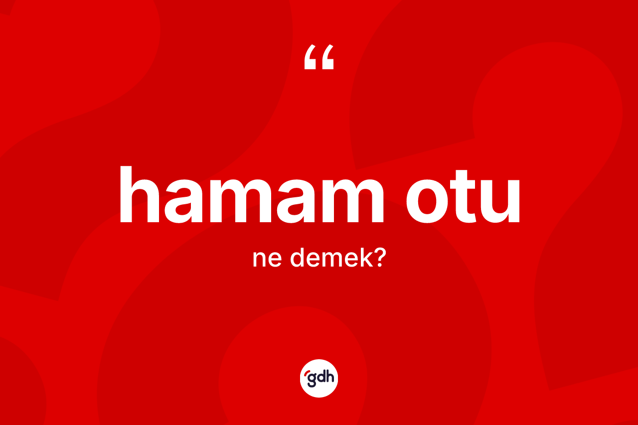 Hamam otu kelimesinin tanımı nedir?