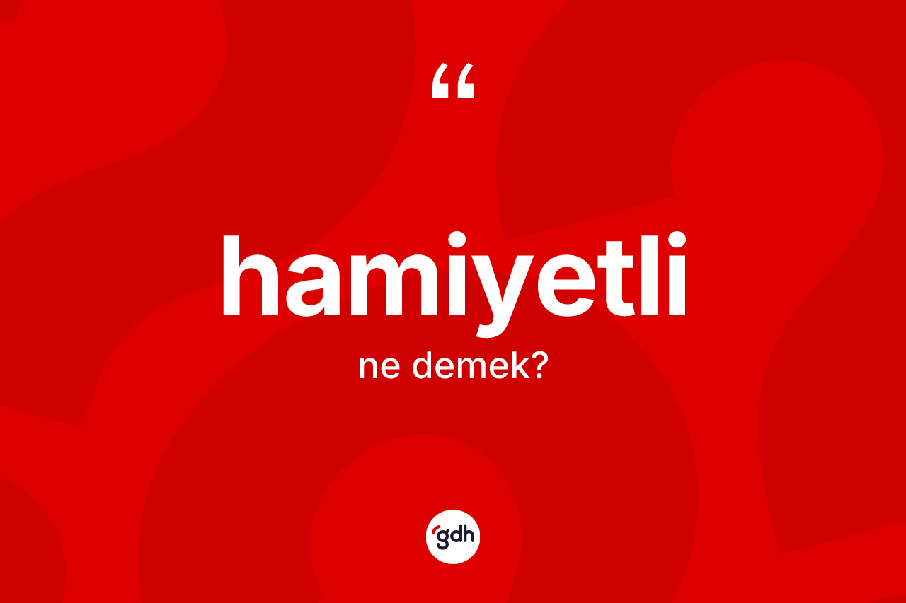 Hamiyetli kelimesinin tanımı nedir? Hamiyetli kelimesinin TDK anlamı nedir?