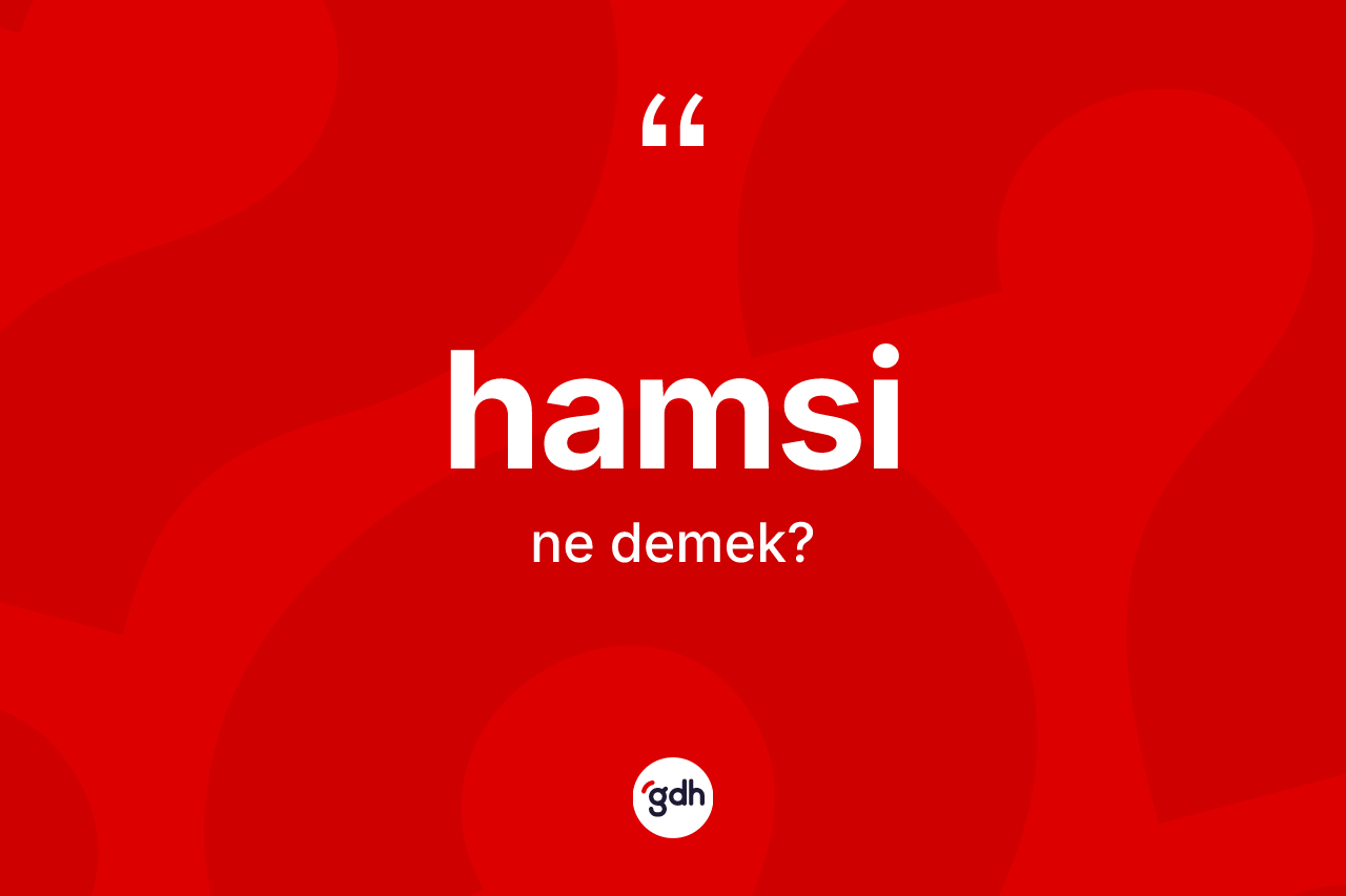 Hamsi kelimesinin tanımı nedir? Hamsinin TDK'ya göre anlamı nedir?