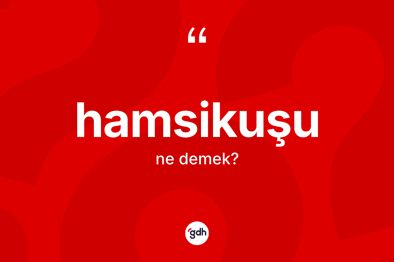 Hamsikuşu kelimesinin anlamı nedir? Hamsikuşu kelimesinin özellikleri nelerdir?