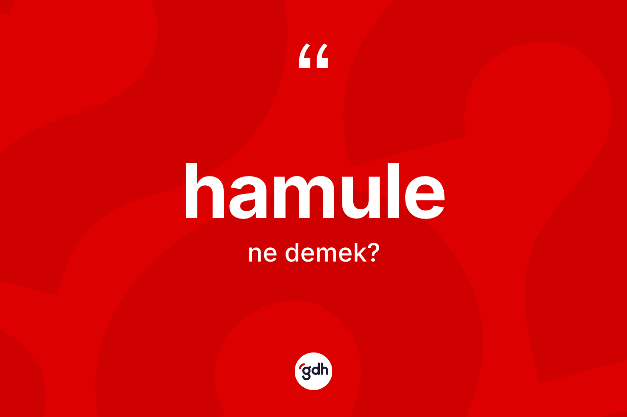 Hamule kelimesi ne demek?