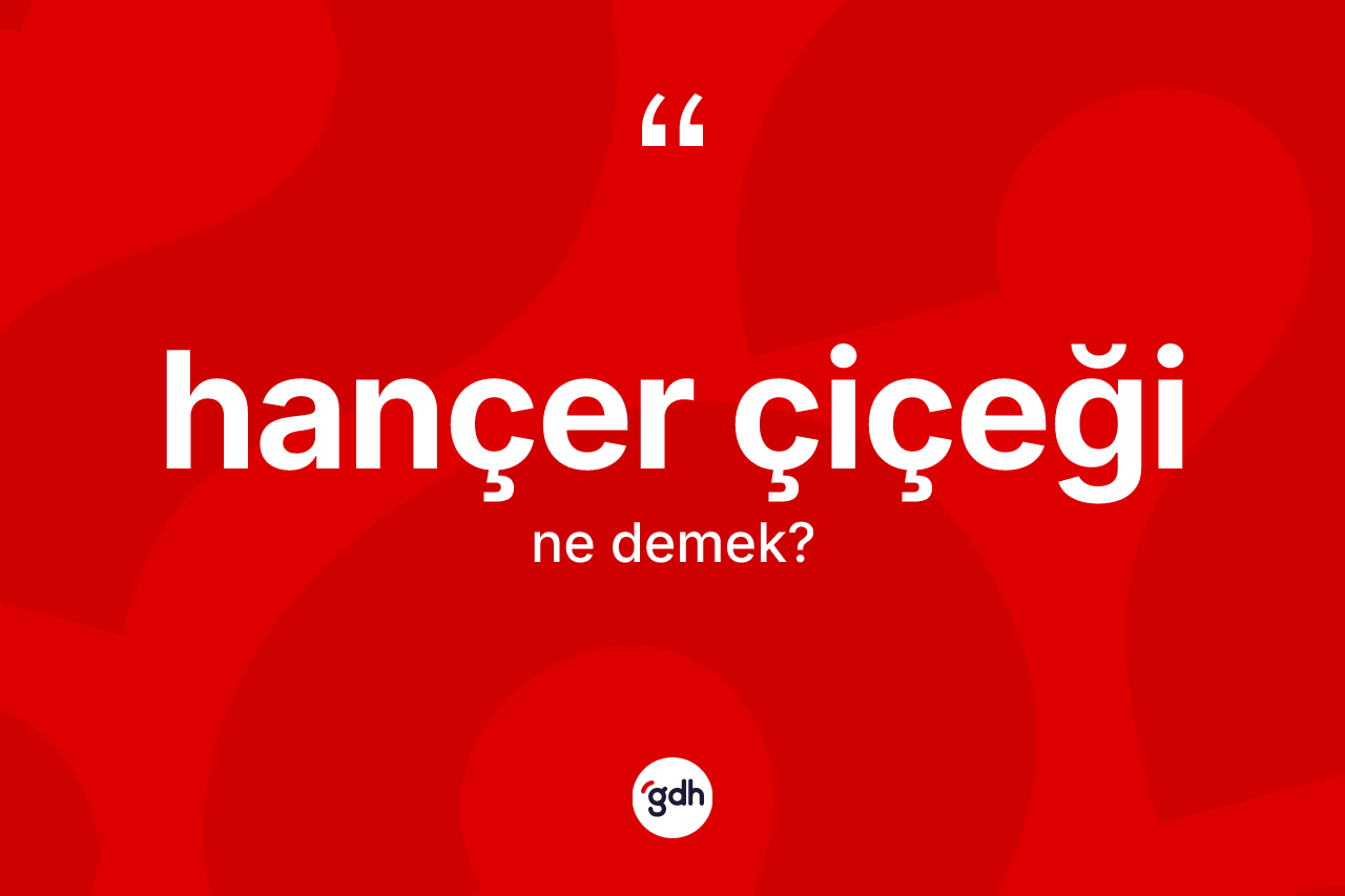 Hançer çiçeği kelimesi nedir? Hançer çiçeğinin sözlükteki anlamı nedir?