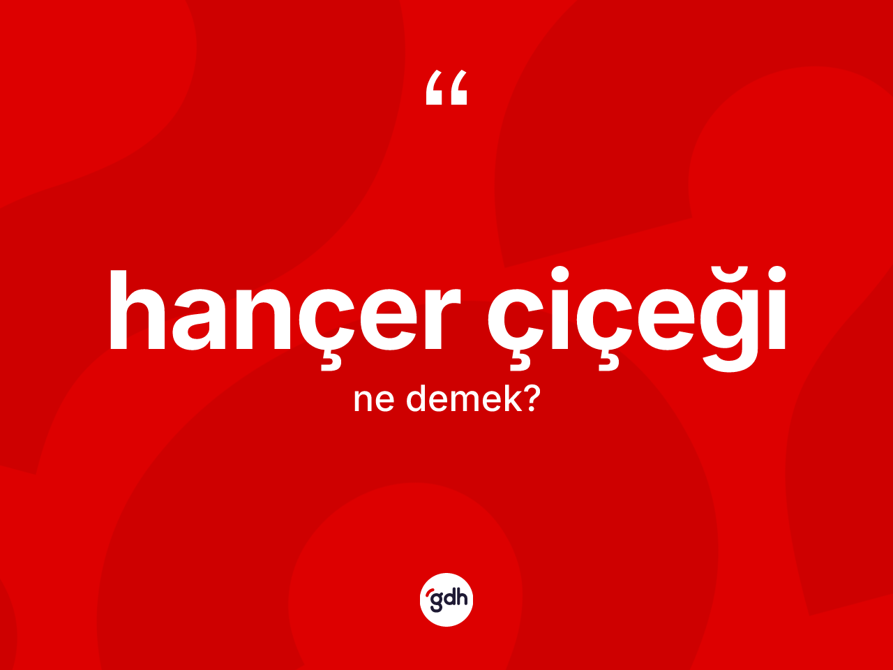 Hançer çiçeği kelimesi nedir? Hançer çiçeğinin sözlükteki anlamı nedir?