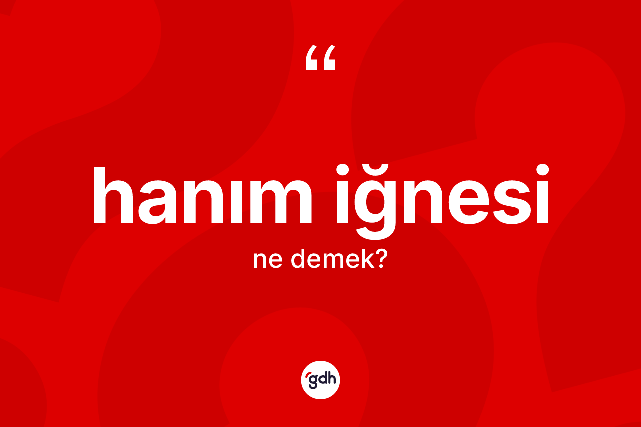 Hanım iğnesi ne demek? Hanım iğnesinin TDK'ya göre anlamı nedir?