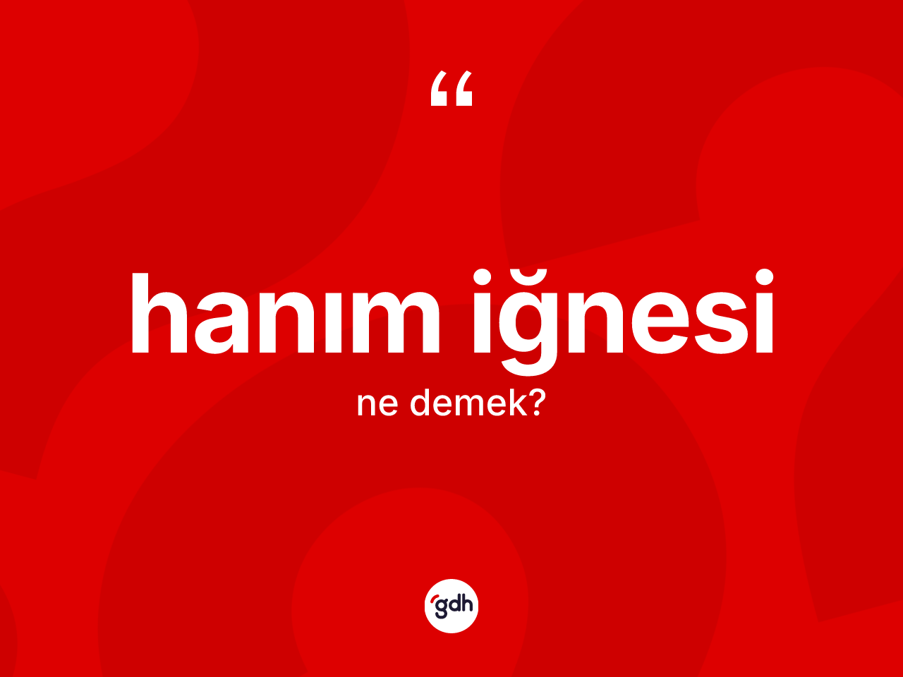 Hanım iğnesi ne demek? Hanım iğnesinin TDK'ya göre anlamı nedir?