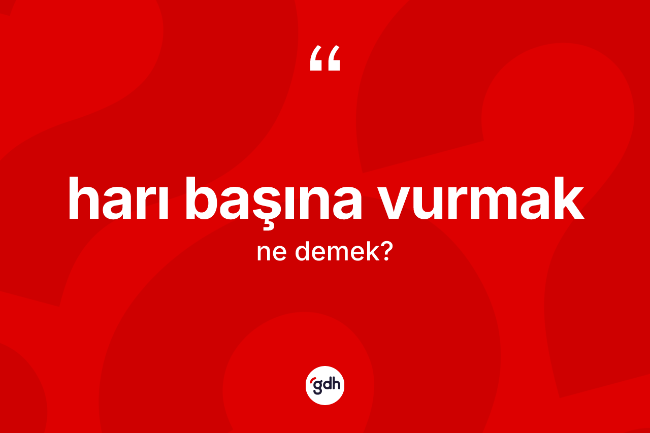 Harı başına vurmak ne demektir? Harı başına vurmak ifadesinin kaç farklı anlamı var?