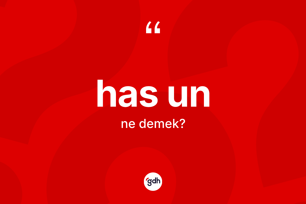 Has un kelimesinin sözlükteki tanımı nedir?
