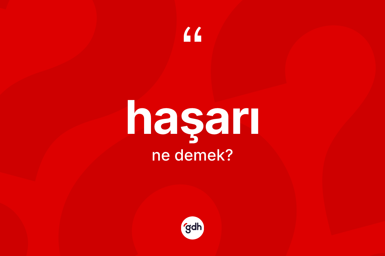 Haşarı kelimesi ne demek? Haşarının halk arasındaki kullanımı nasıldır?