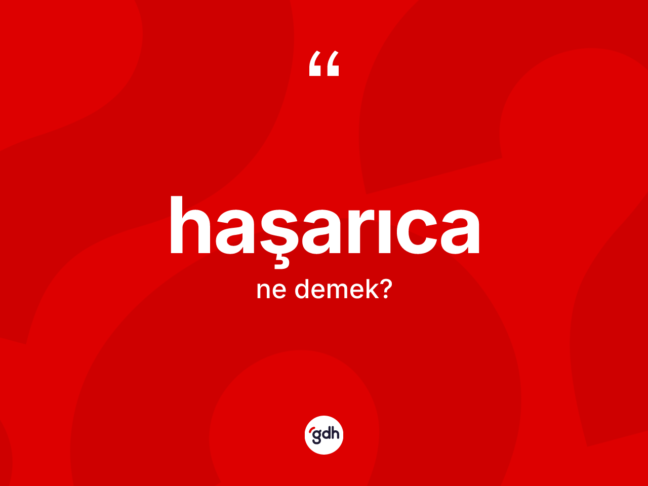 Haşarıca ne demek? Haşarıcanın TDK'ya göre anlamı nedir?