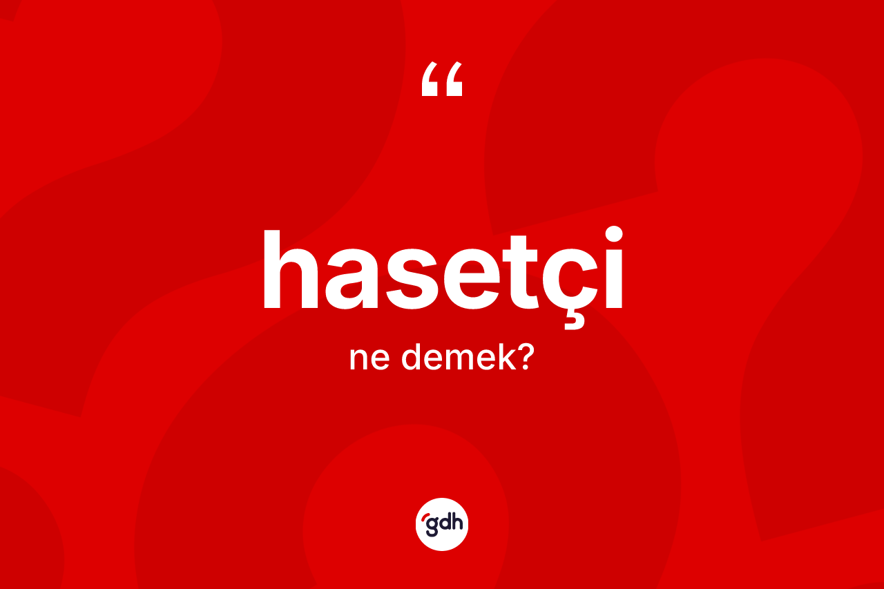 Hasetçi kelimesinin tanımı nedir? Hasetçi kelimesinin kaç farklı anlamı var?