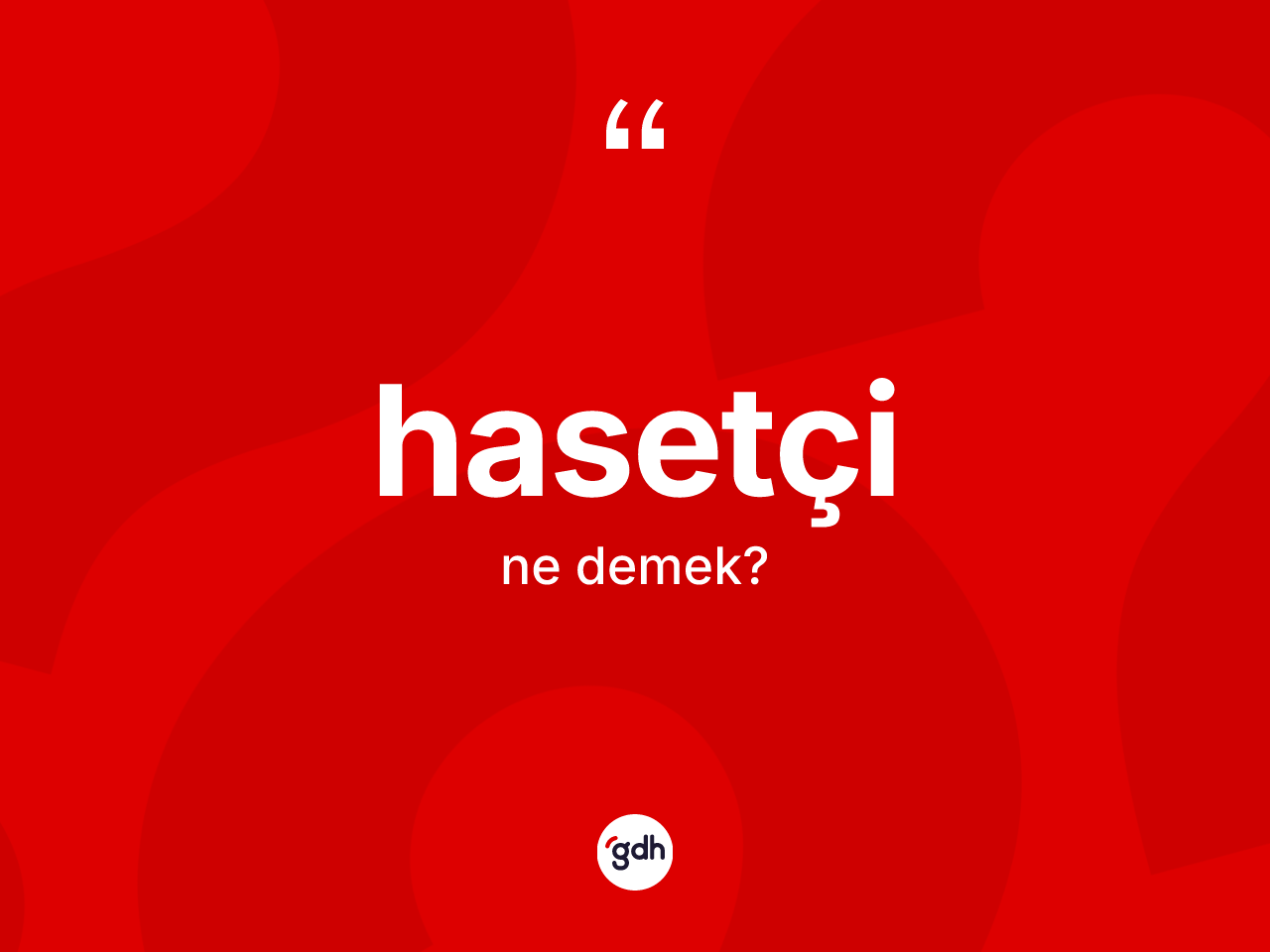 Hasetçi kelimesinin tanımı nedir? Hasetçi kelimesinin kaç farklı anlamı var?