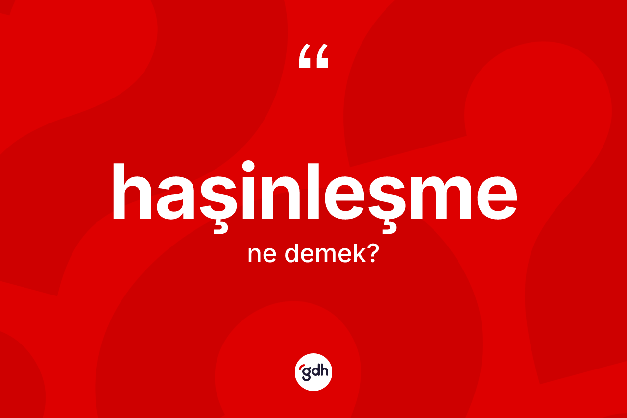 Haşinleşme ne demek? Haşinleşme kelimesinin TDK'ya göre açıklaması nedir?