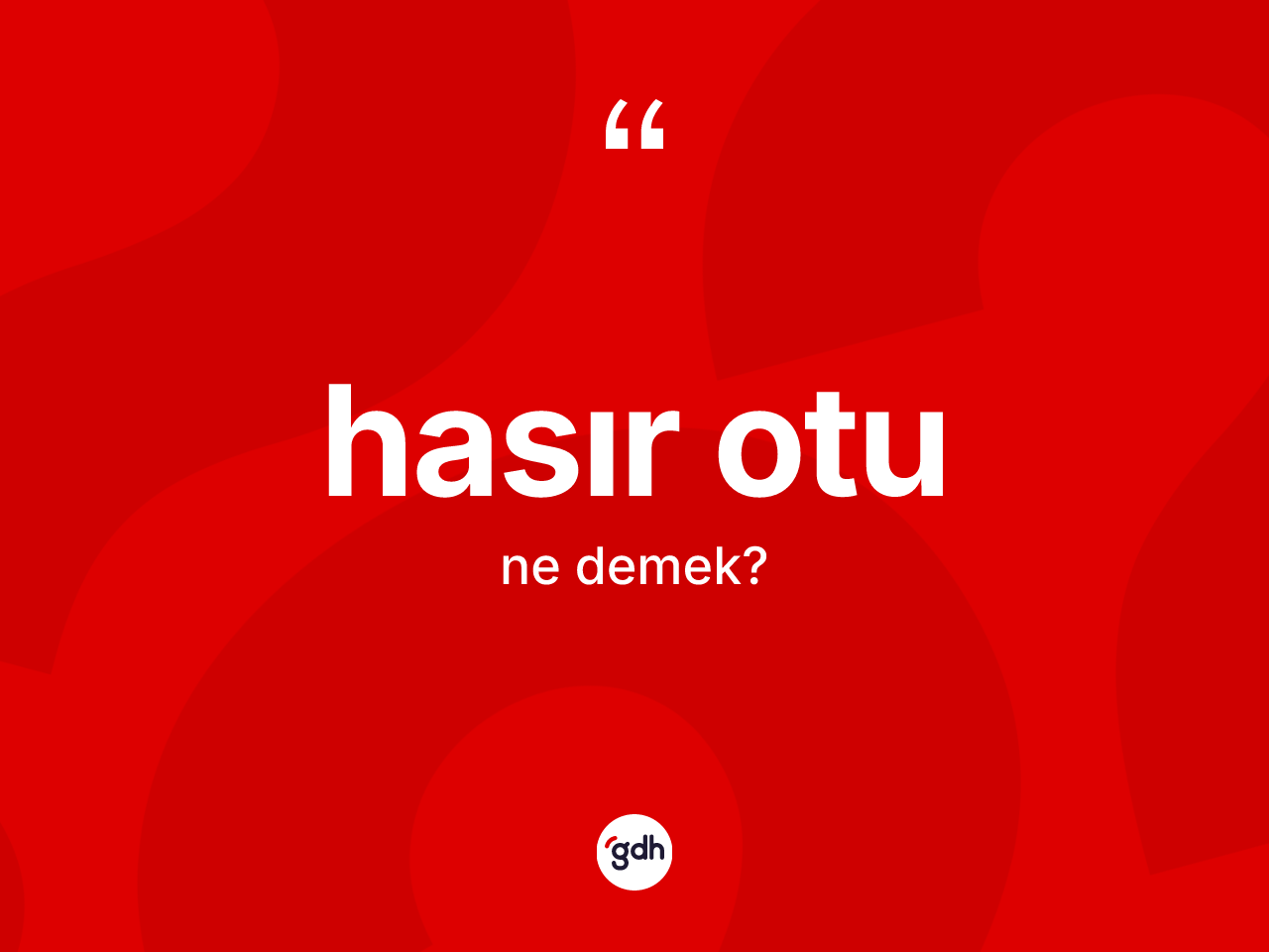 Hasır otu kelimesinin sözlükteki tanımı nedir? Hasır otu kelimesinin kaç farklı anlamı var?