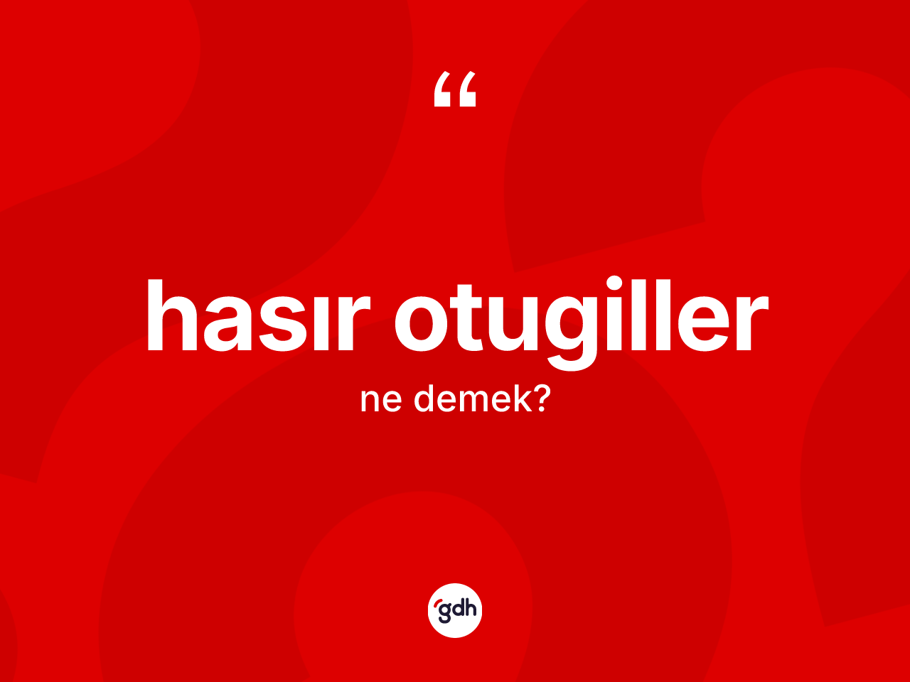 Hasır otugiller ne anlama gelir? Hasır otugillerin TDK'ya göre anlamı nedir?