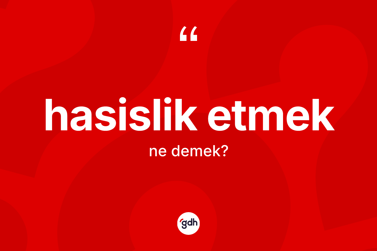Hasislik etmek sözü nedir? Hasislik etmek sözünün TDK açıklaması nedir?
