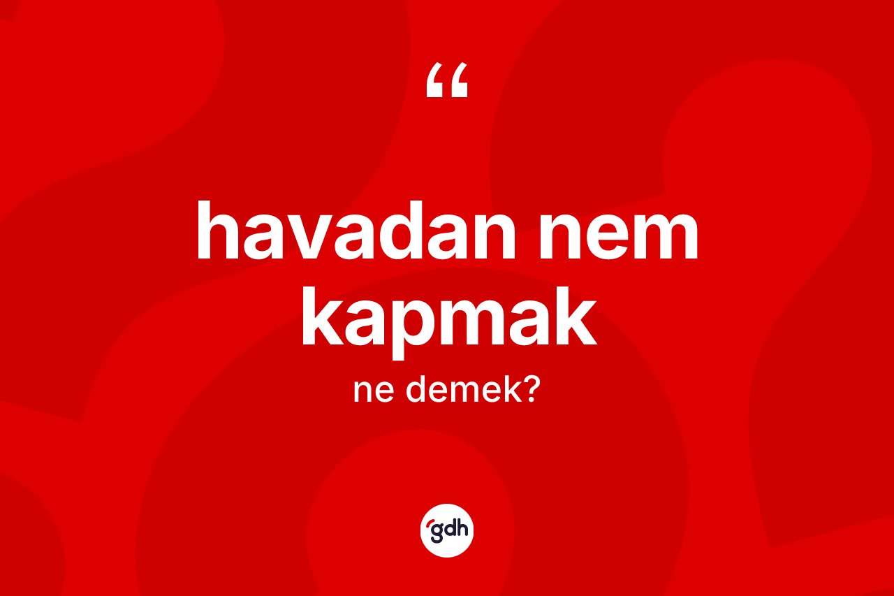 Havadan nem kapmak sözü ne demektir? Havadan nem kapmak ifadesinin TDK'ya göre anlamı nedir?