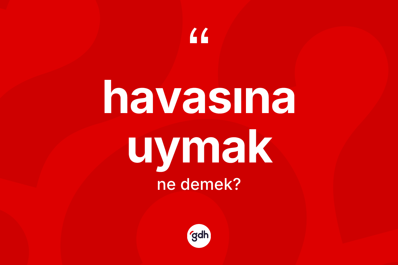 Havasına uymak ne demek? Havasına uymak ifadesi hangi durumlarda kullanılır
