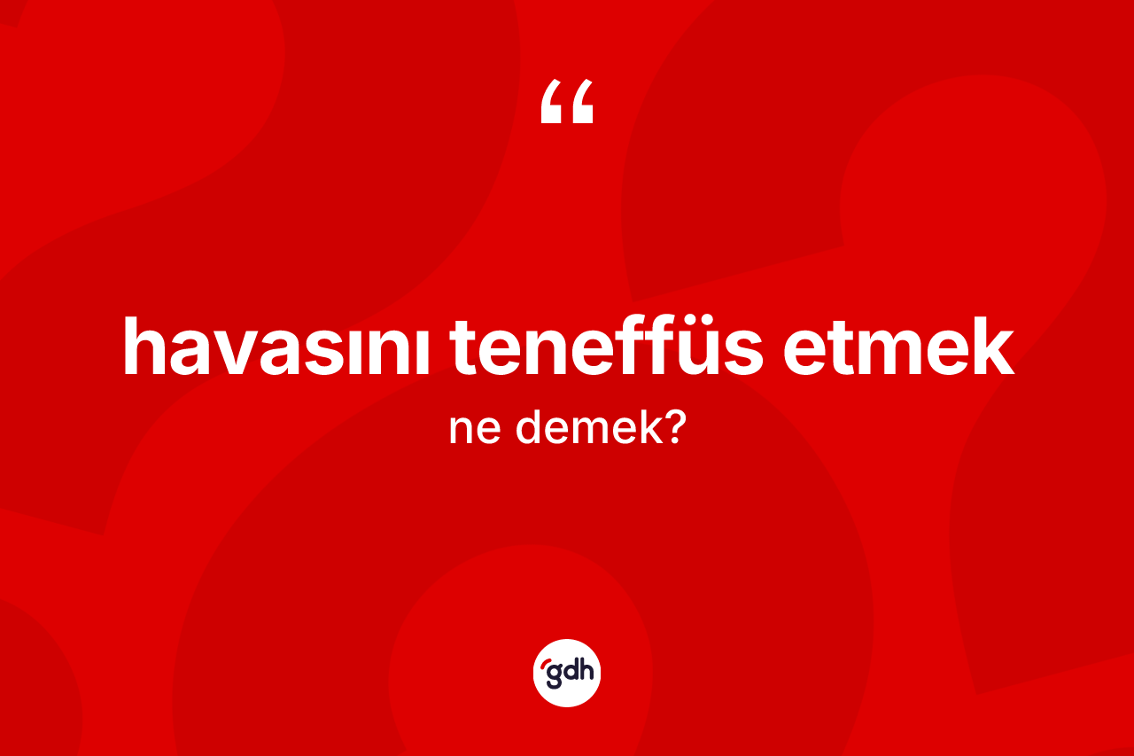Havasını teneffüs etmek ifadesinin tanımı nedir? Havasını teneffüs etmek ifadesinin TDK anlamı nedir?