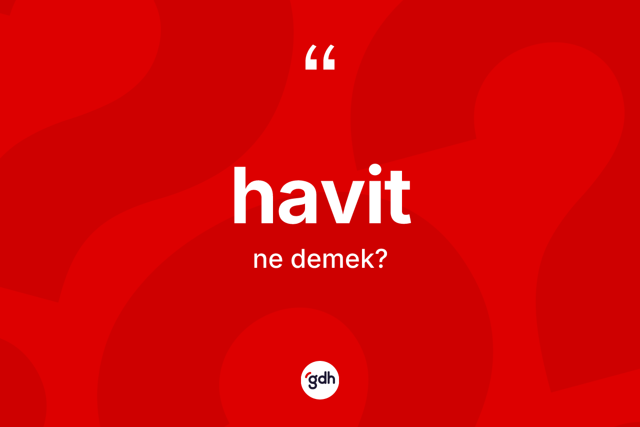 Havit kelimesinin tanımı nedir? Havidin kısaca tanımı nedir?