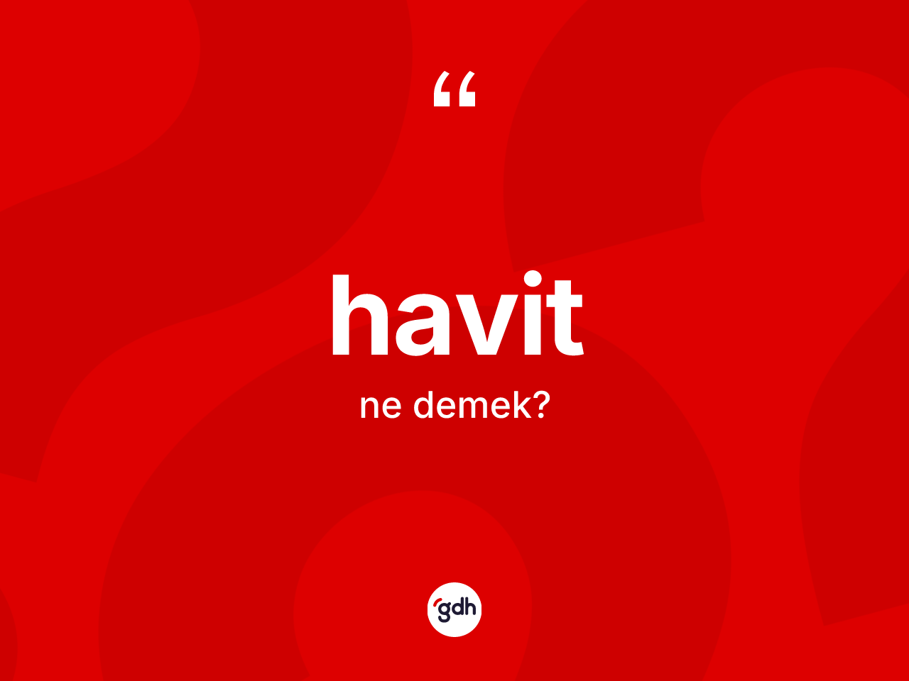 Havit kelimesinin tanımı nedir? Havidin kısaca tanımı nedir?