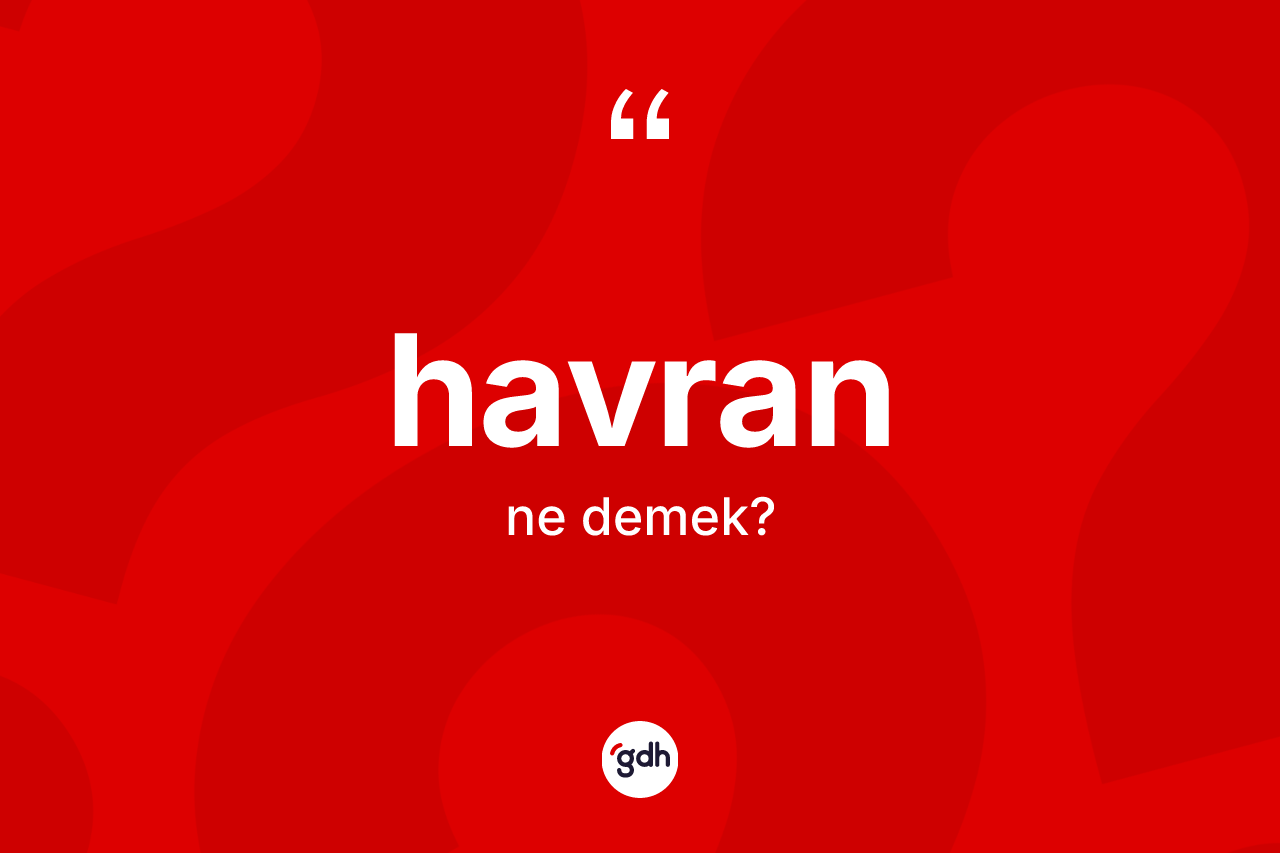 Havran kelimesinin sözlükteki tanımı nedir? Havran'ın TDK'ya göre anlamı nedir?