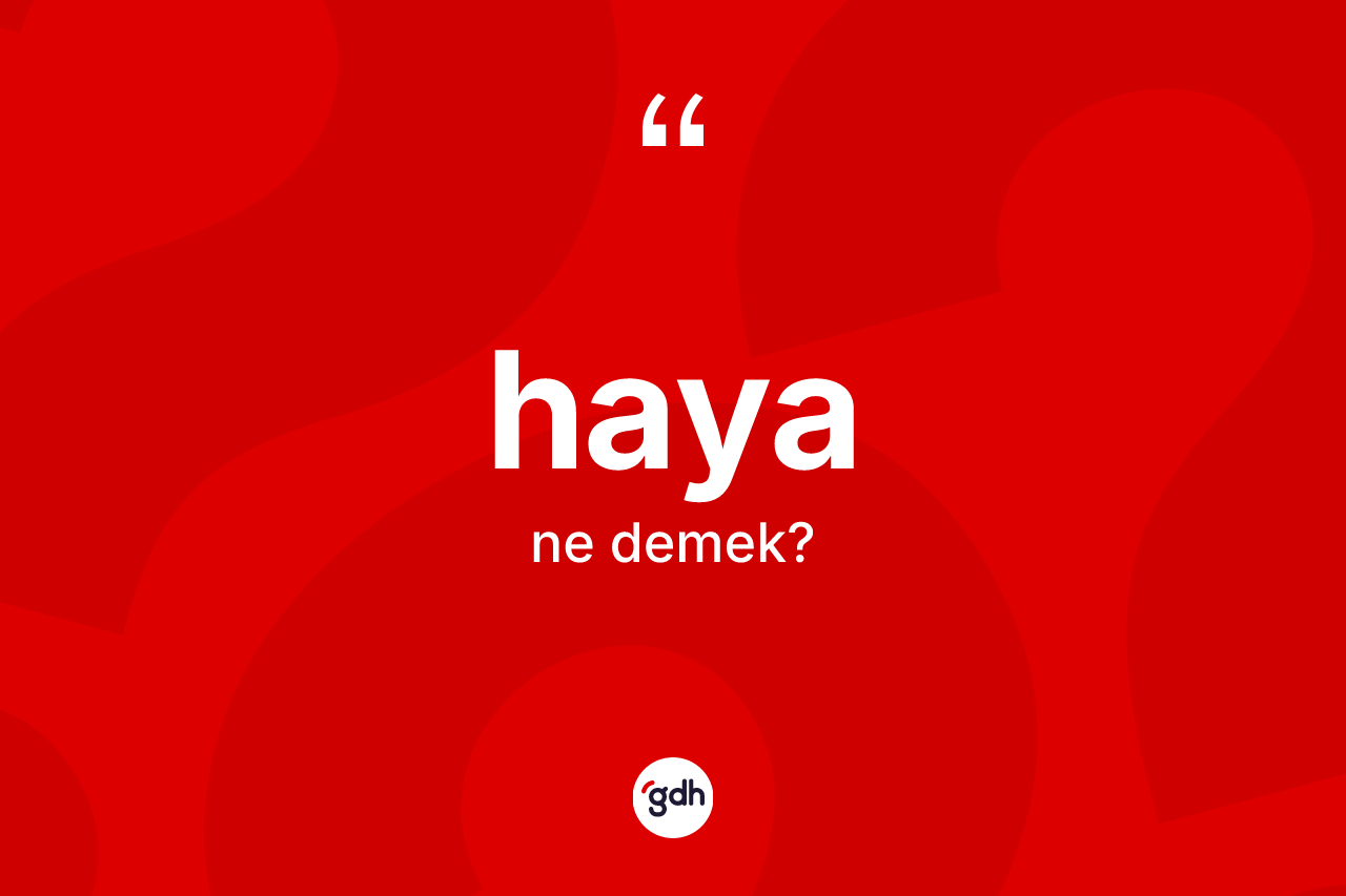 Haya ne anlama gelir? Haya kelimesinin TDK anlamı nedir?