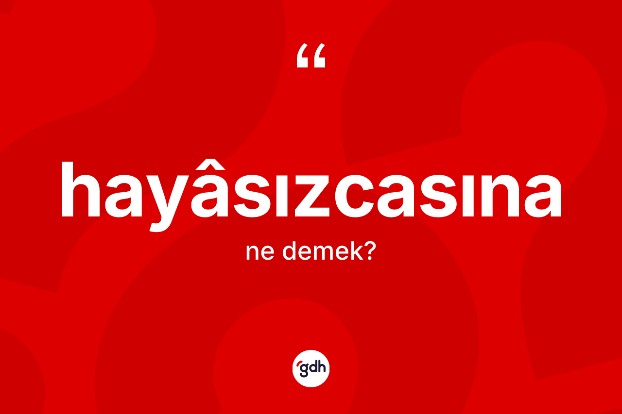 Hayâsızcasına kelimesinin anlamı nedir? Hayâsızcasınanın TDK'ya göre anlamı nedir?