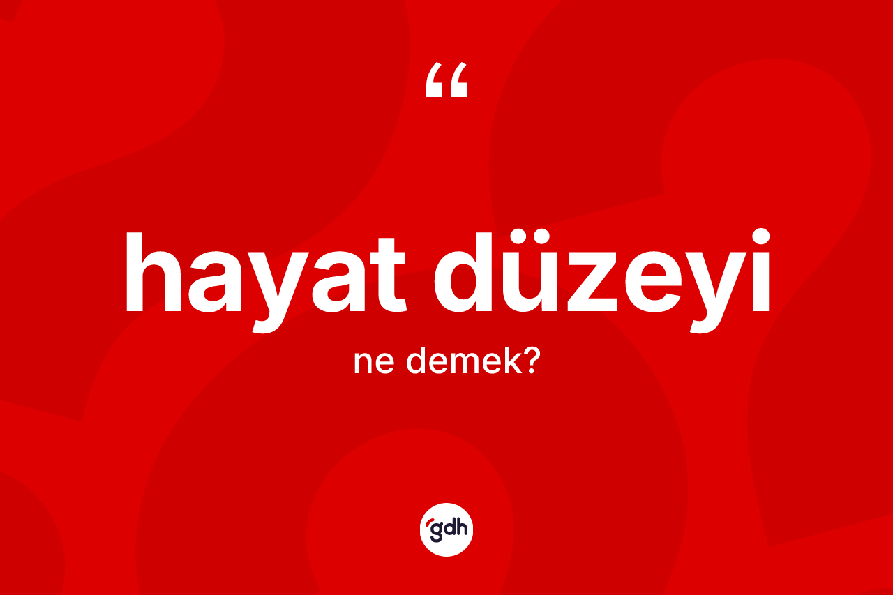 Hayat düzeyi kelimesinin tanımı nedir? Hayat düzeyi kelimesinin TDK anlamı nedir?