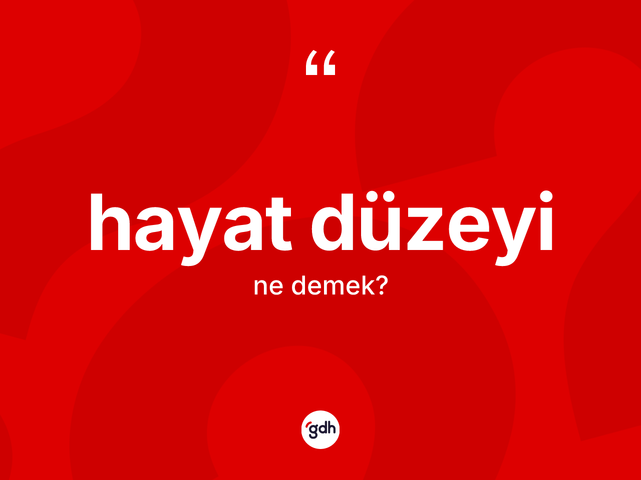 Hayat düzeyi kelimesinin tanımı nedir? Hayat düzeyi kelimesinin TDK anlamı nedir?