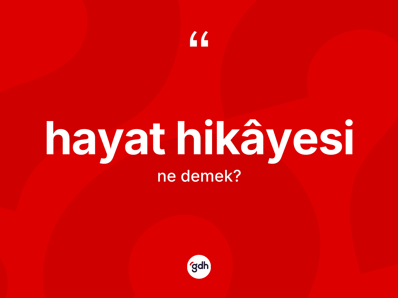 Hayat hikâyesi kelimesinin tanımı nedir? Hayat hikâyesi kelimesinin kaç farklı anlamı var?
