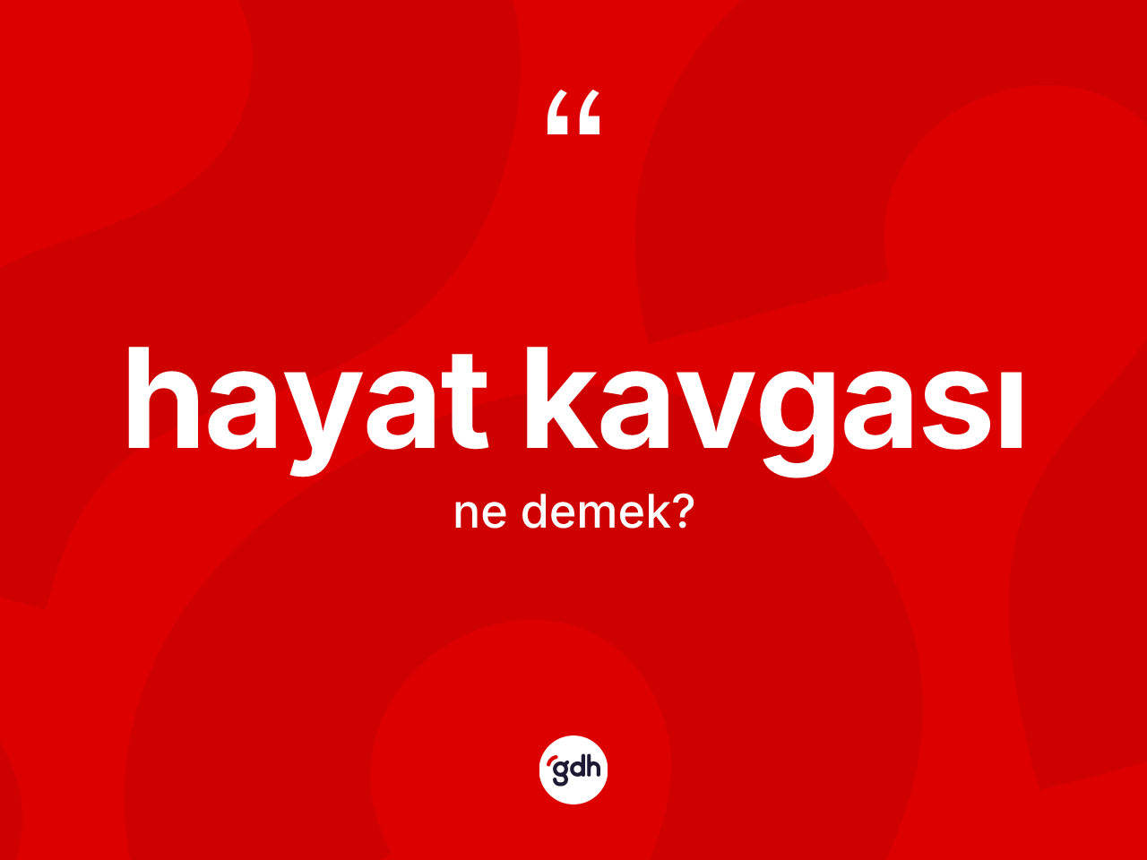 Hayat kavgası kelimesinin sözlükteki tanımı nedir? Hayat kavgasının sözlükteki anlamı nedir?