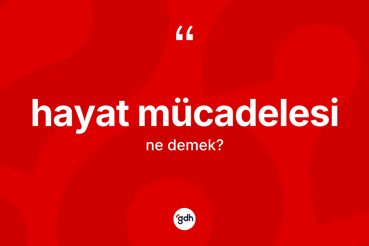 Hayat mücadelesi kelimesinin tanımı nedir? Hayat mücadelesinin halk arasındaki kullanımı nasıldır?