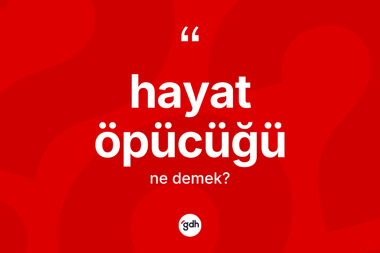 Hayat öpücüğü kelimesinin anlamı nedir? Hayat öpücüğünün sözlükteki anlamı nedir?