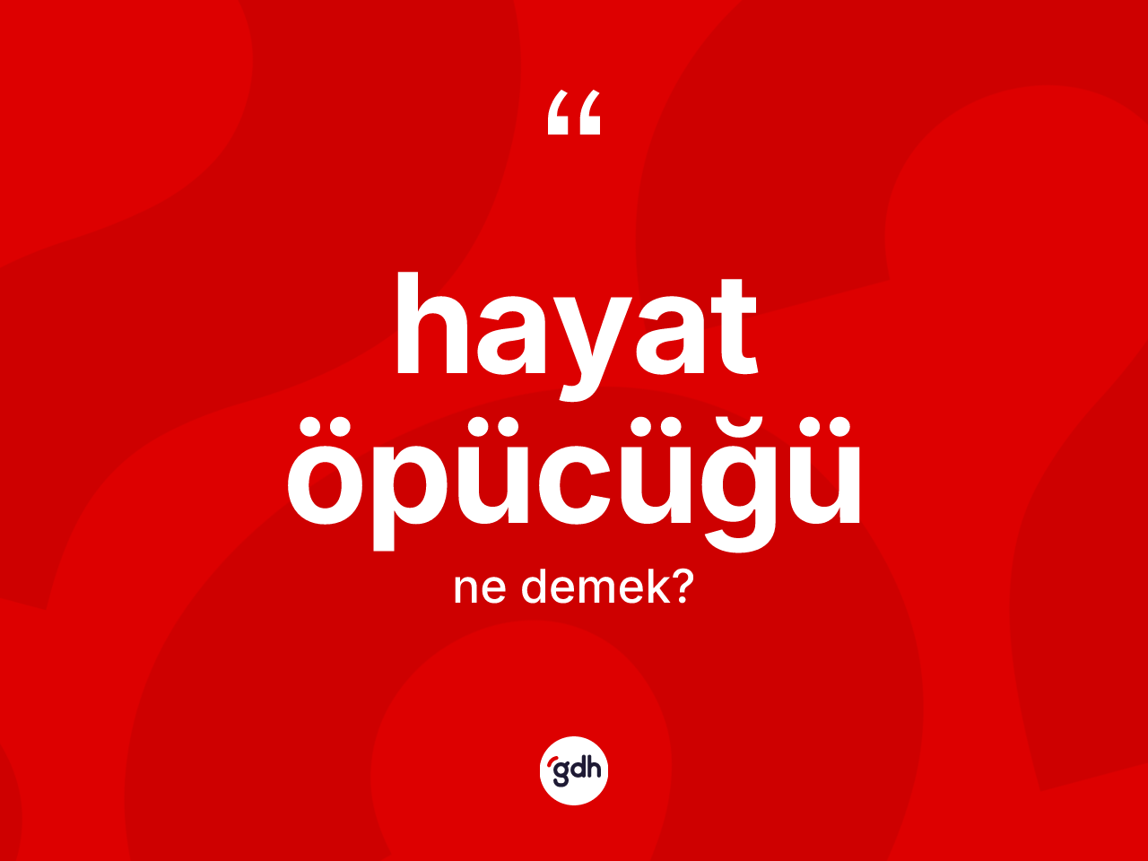 Hayat öpücüğü kelimesinin anlamı nedir? Hayat öpücüğünün sözlükteki anlamı nedir?